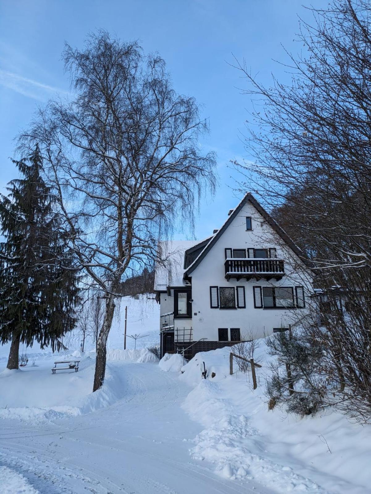 Ferienwohnung Im Hambach Bad Berleburg Eksteriør bilde